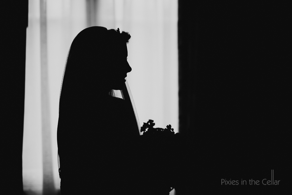 bridal silhouette